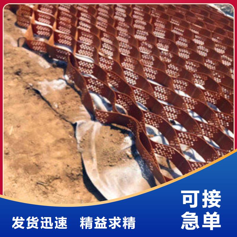 塑料土工格室合理报价