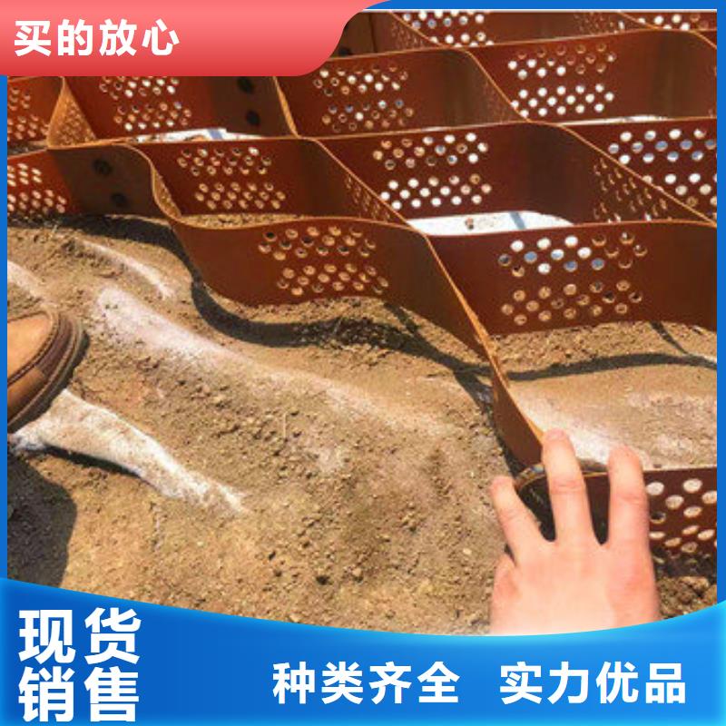 那里有做土工格室厂家实力雄厚