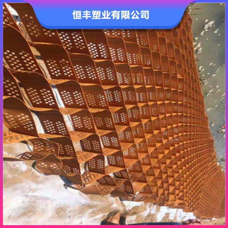 出口型号土工格室