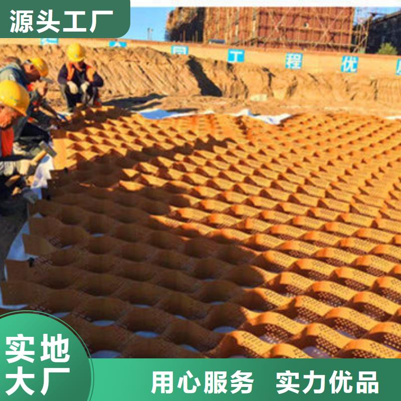 土工格网(咨询)