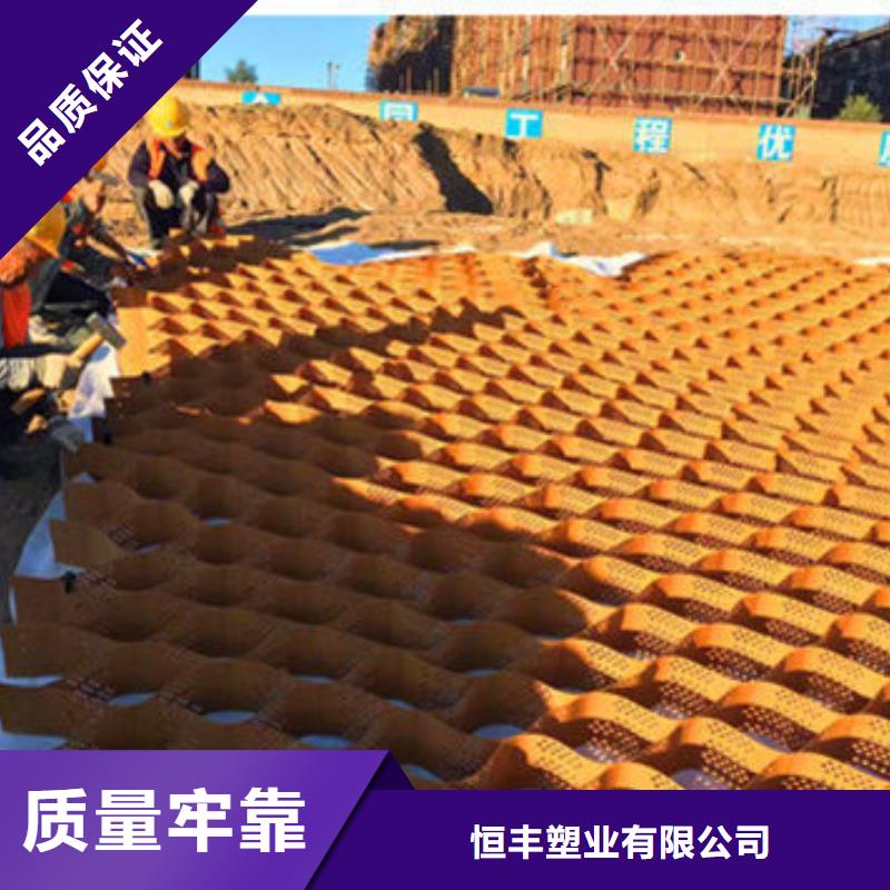200mm高度的土工格室图片