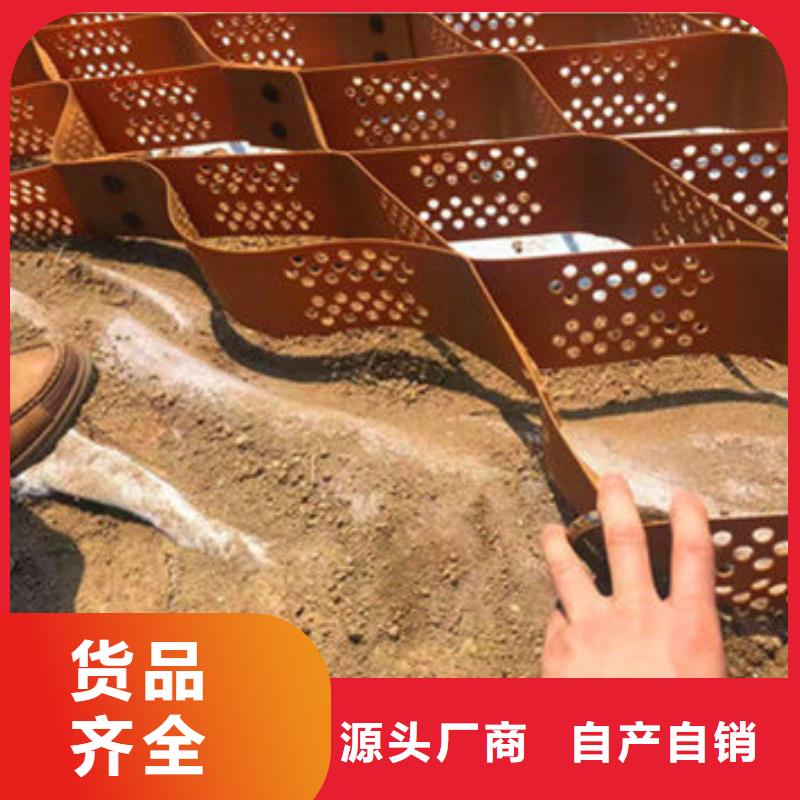 复合排水网厂家直销复合排水网