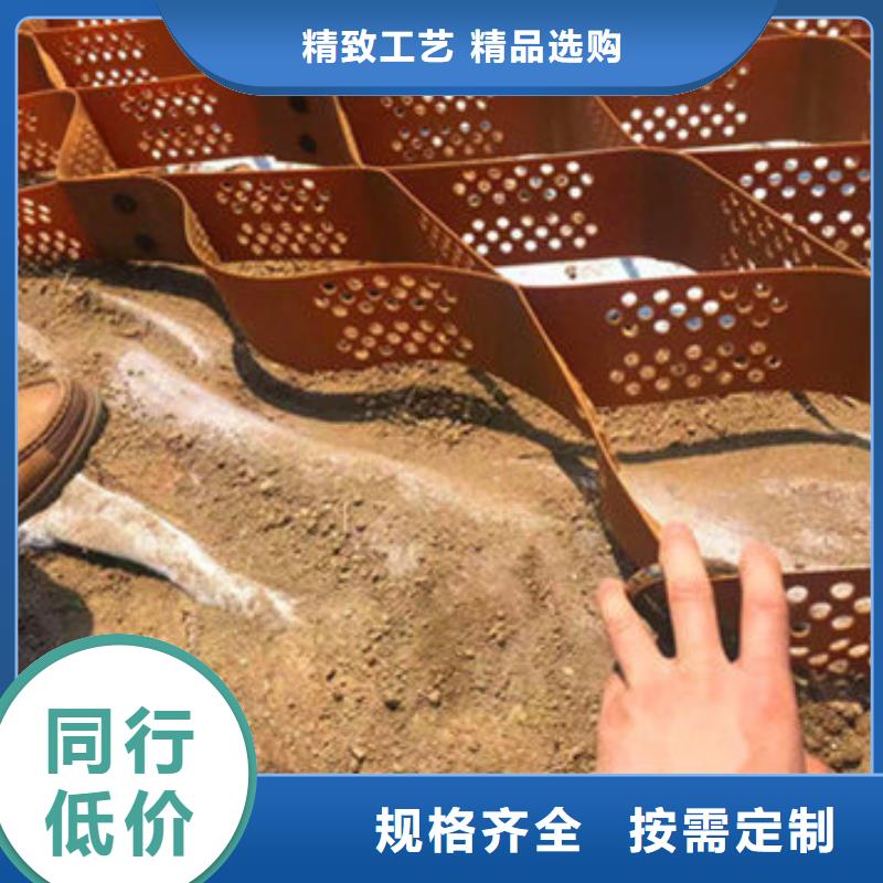 巢室护坡(咨询)