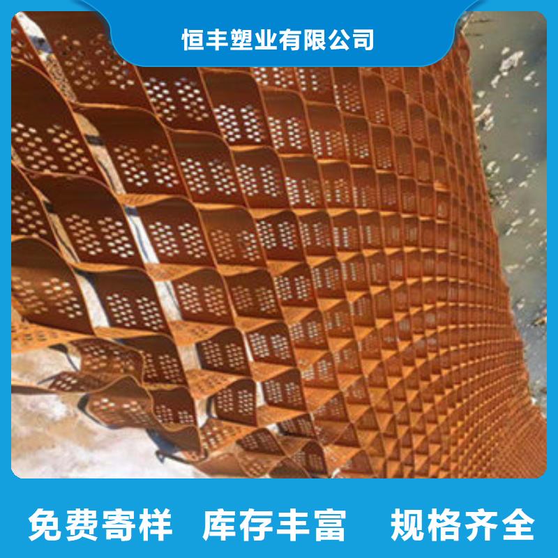 塑料土工格室生产厂家