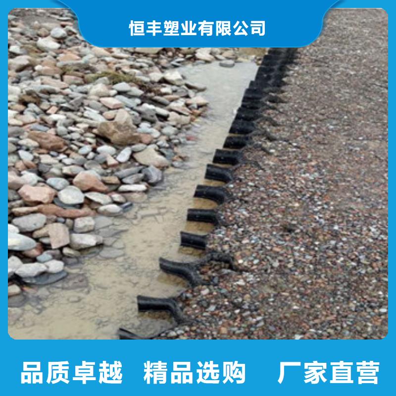 TGGS土工格室厂家