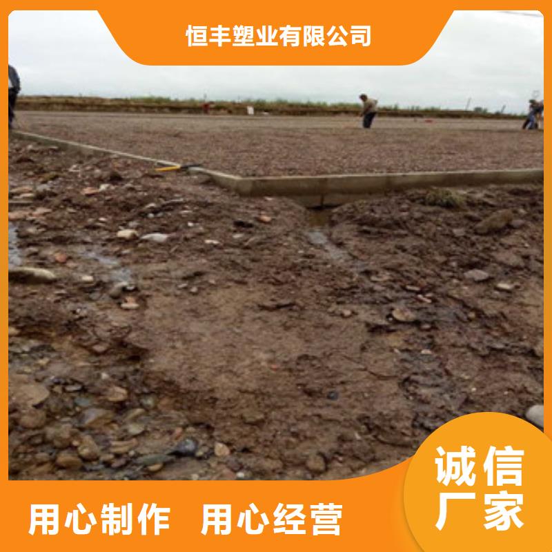 土工格网