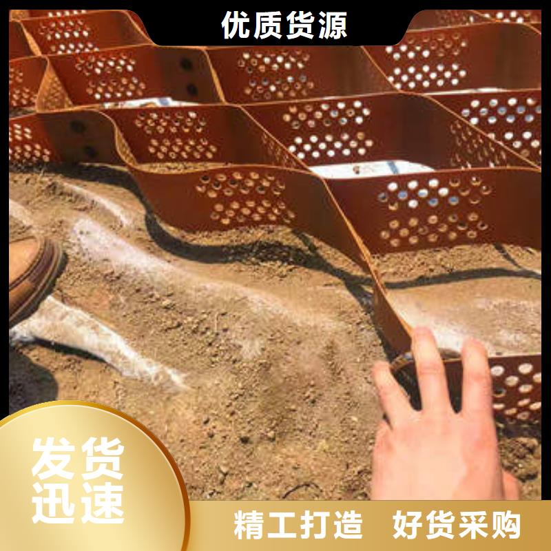 玉溪土工格室植草护坡哪个好-土工格室植草护坡列表