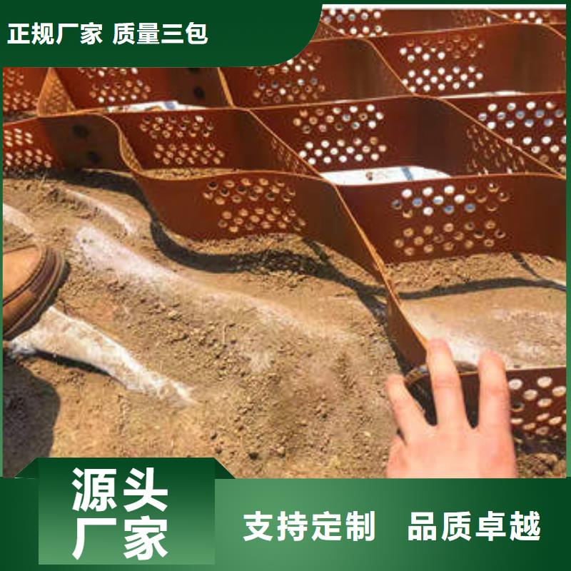 蜂巢格室图片简介