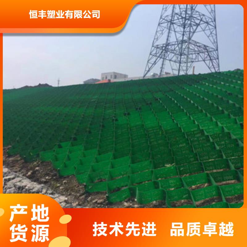 水渠河道治理用土工格室
