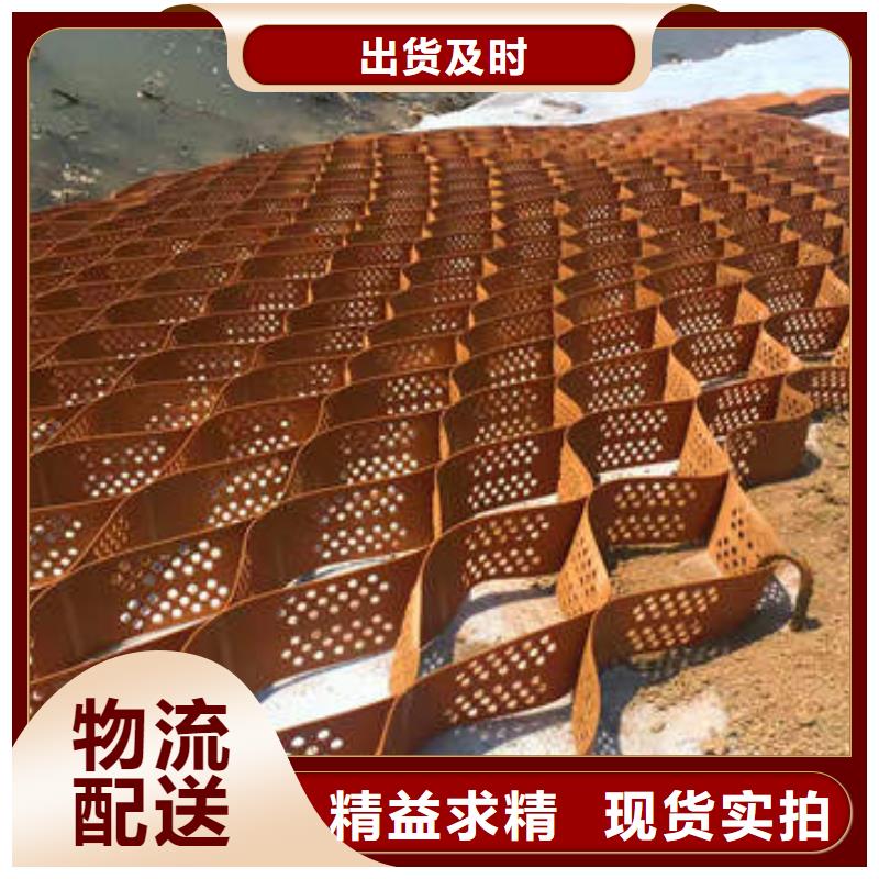 聚乙烯土工格室-服务周到