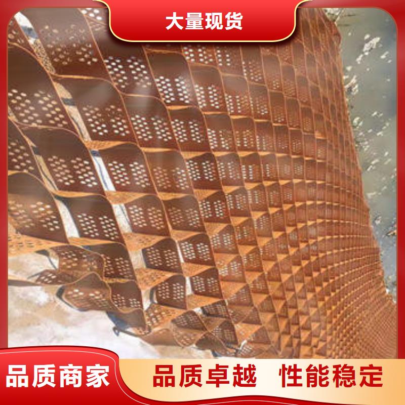 出口型号土工格室