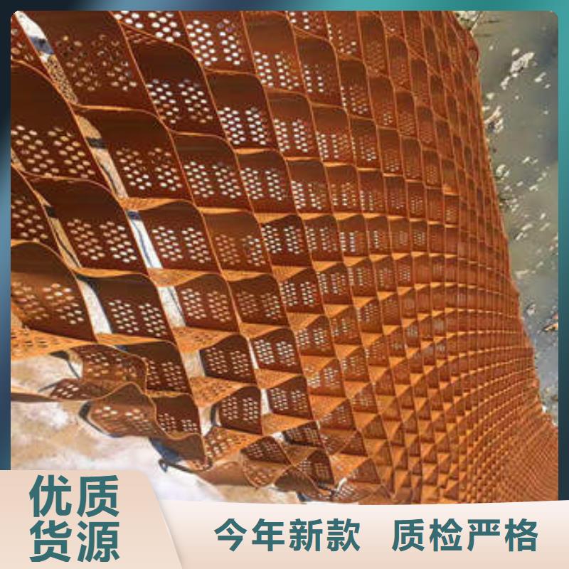 TGGS土工格室厂家简介