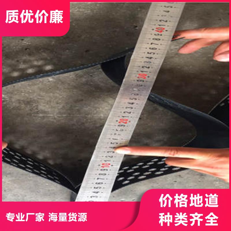 水渠河道治理用土工格室