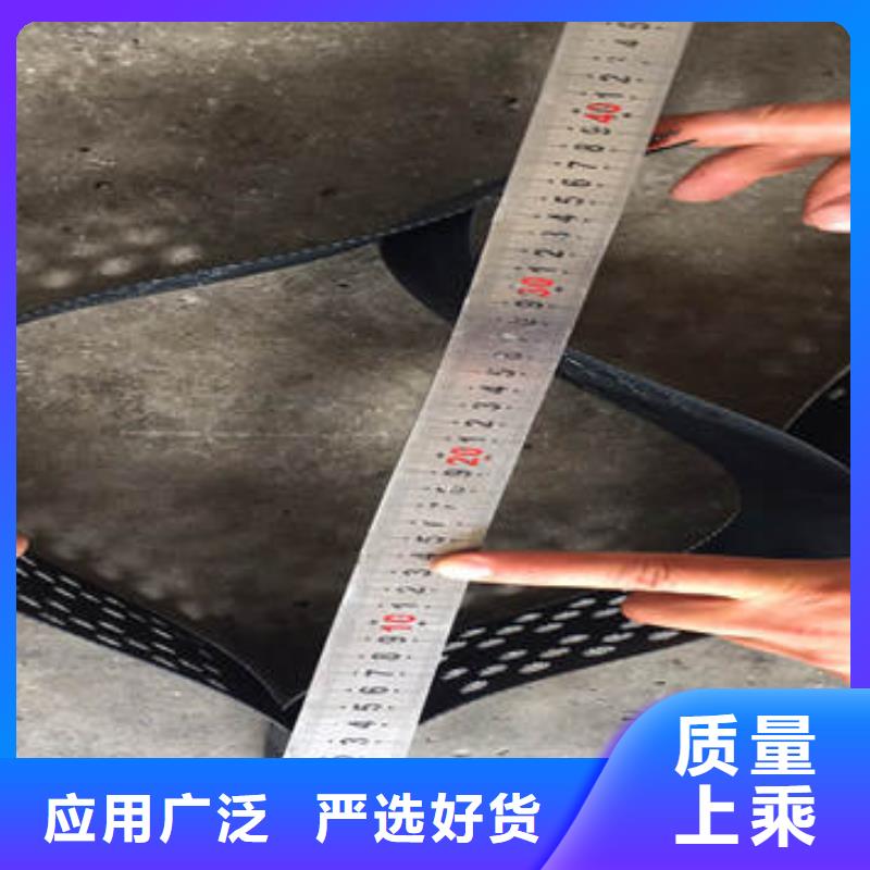 TGGS土工格室厂家