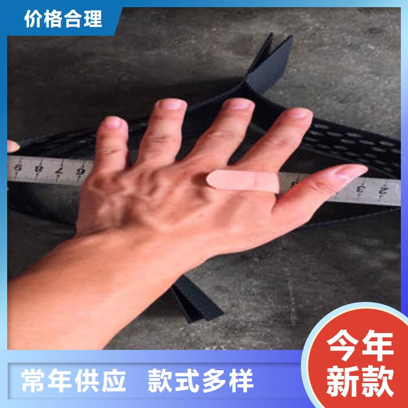 生产100mm高的蜂巢格室的实力厂家