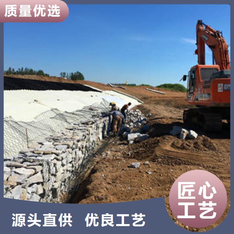 gc蜂巢格室