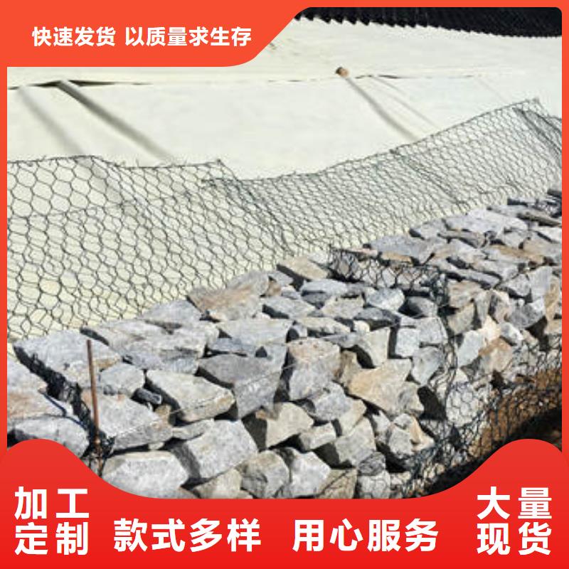 TGGS土工格室厂家