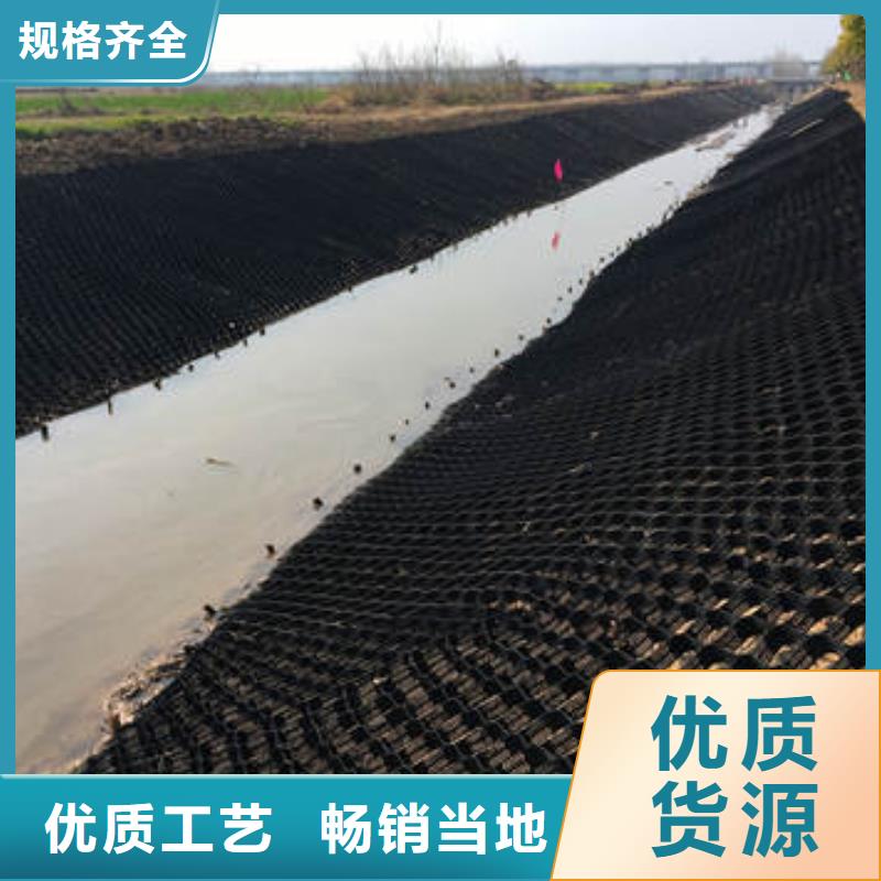 双向塑料土工格栅查看详情