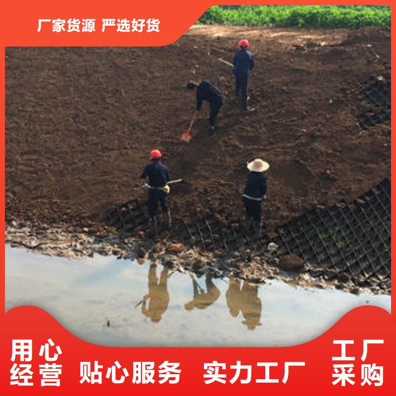 淮北蜂格巢室绿化，蜂格巢室绿化