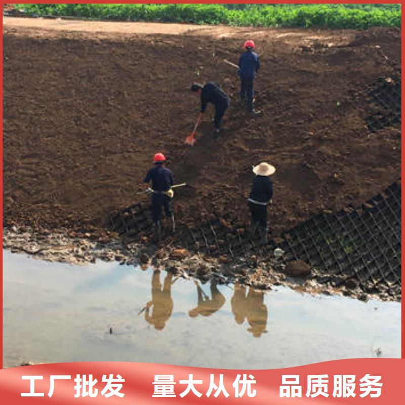 泸州六边形蜂巢约束系统，六边形蜂巢约束系统