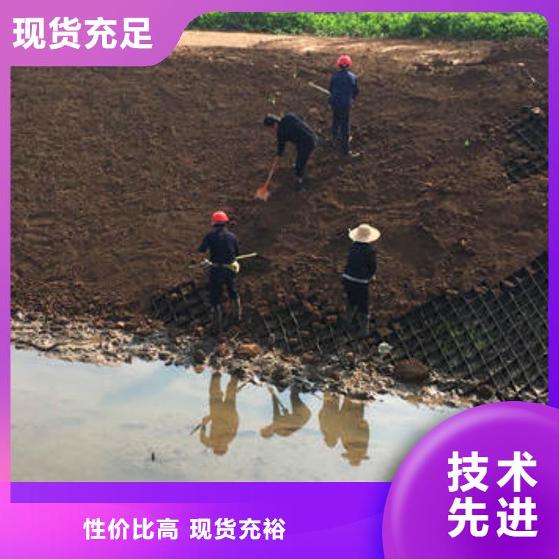 黑色蜂巢格室价格公道