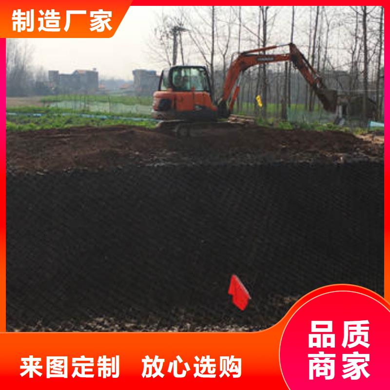 蜂巢格室好吗--蜂巢格室是啥