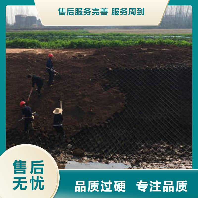 海口蜂格巢室绿化，蜂格巢室绿化