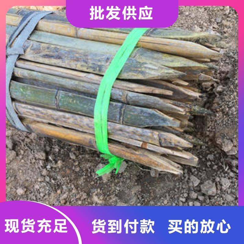 蜂巢格室100mm高度源头厂家