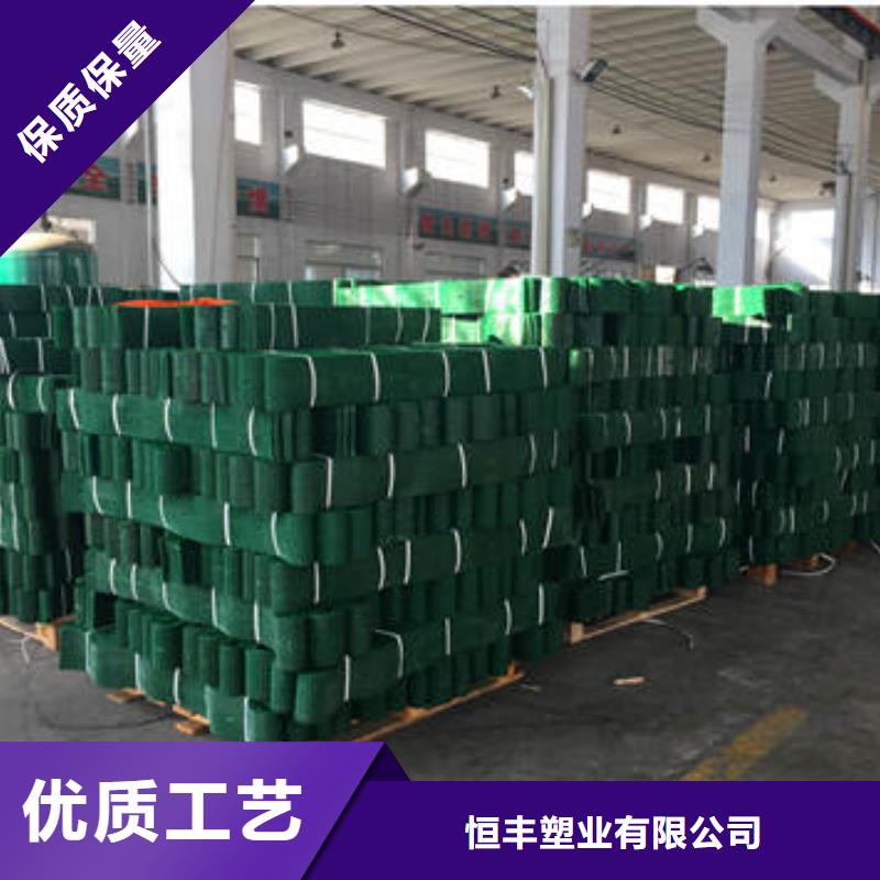 蜂巢格室图片简介