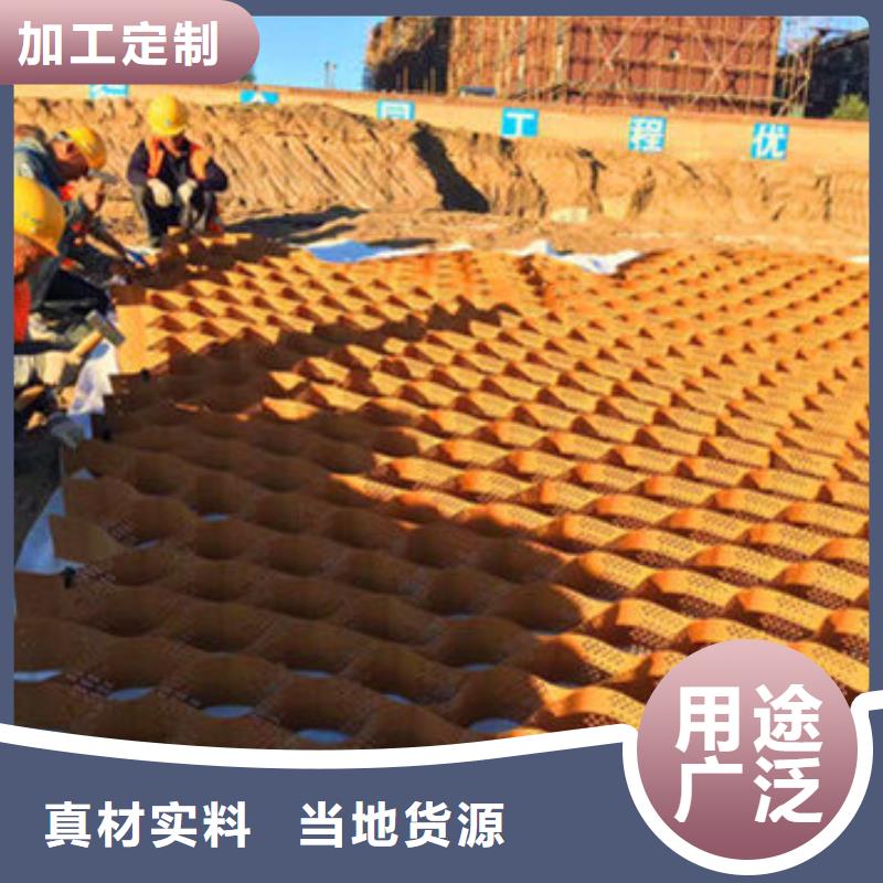 出口型号土工格室