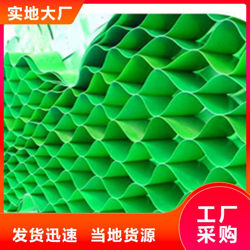蜂巢护坡格室