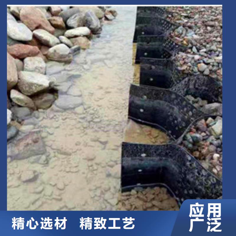 TGGS土工格室厂家
