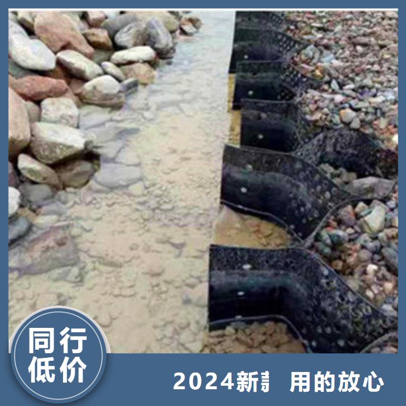 出口型号土工格室