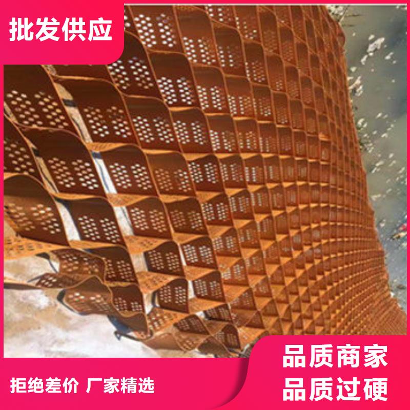 NCP蜂巢格室