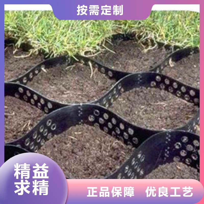 百色NeoWeb蜂巢约束系统哪个好-NeoWeb蜂巢约束系统列表