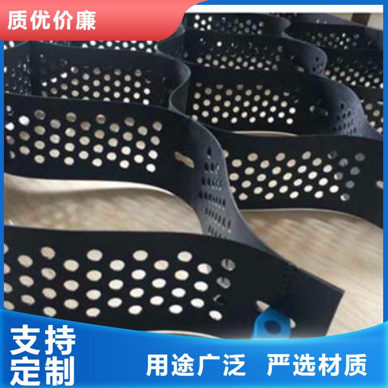 水渠河道治理用蜂巢格室