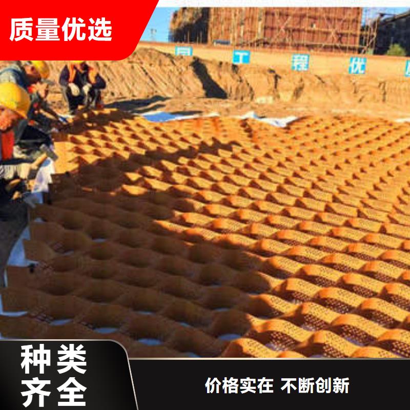 双向塑料拉伸土工格栅厂家