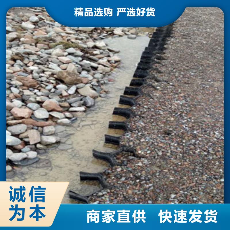 土工格室价钱