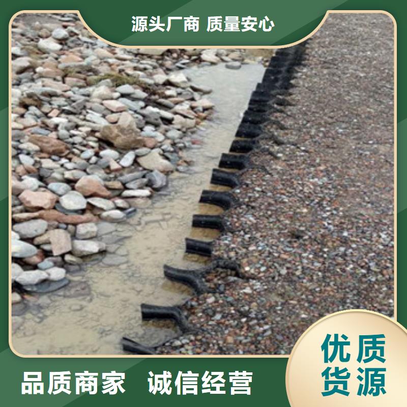 蜂巢约束系统