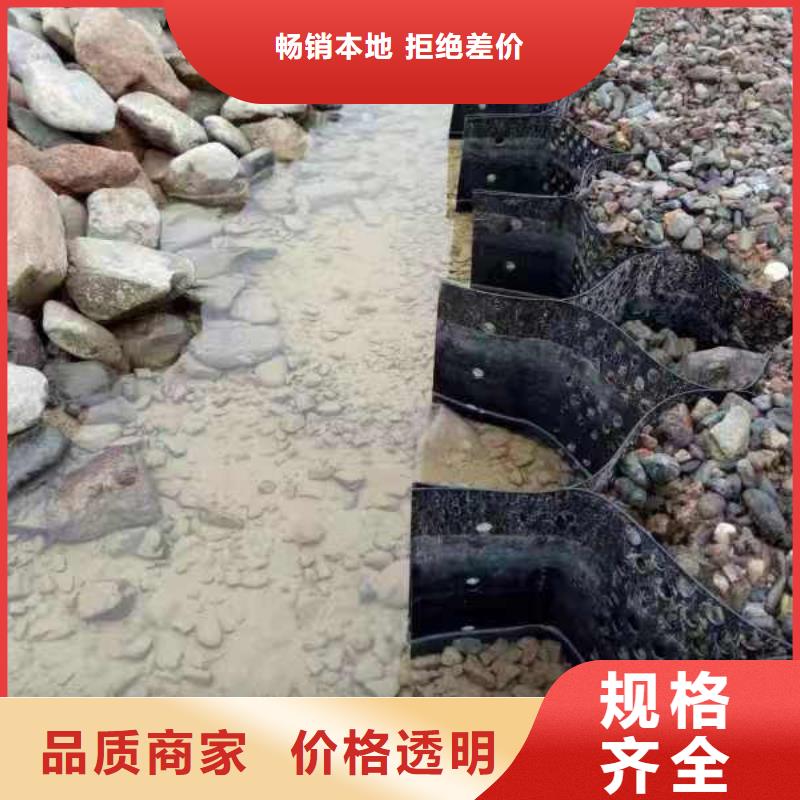 土工格室边坡简介