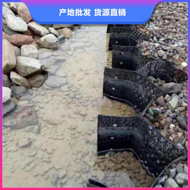 蜂巢格室(低价