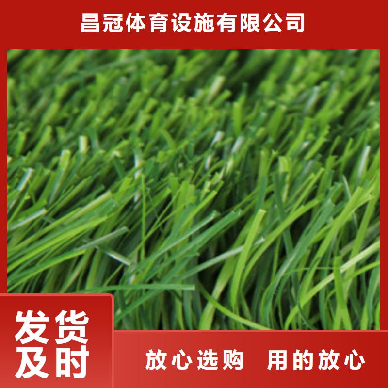 人造草坪支持拿样