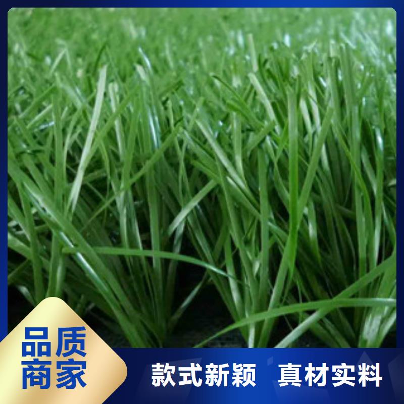 人造草坪,塑胶地板采购
