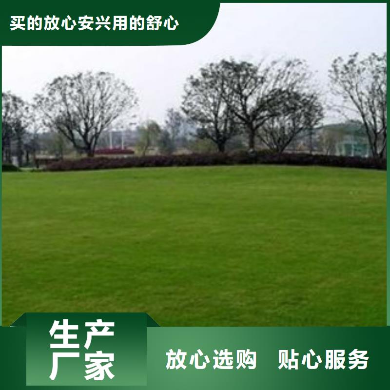 人造草坪硅pu球场卓越品质保障