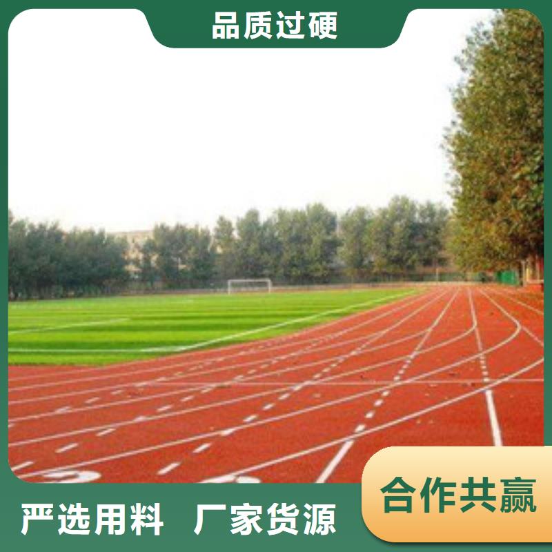 塑胶跑道体育器材源头厂源头货