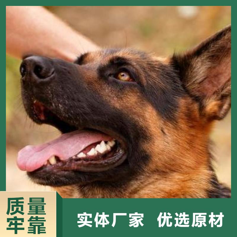 德国牧羊犬-卡斯罗犬保障