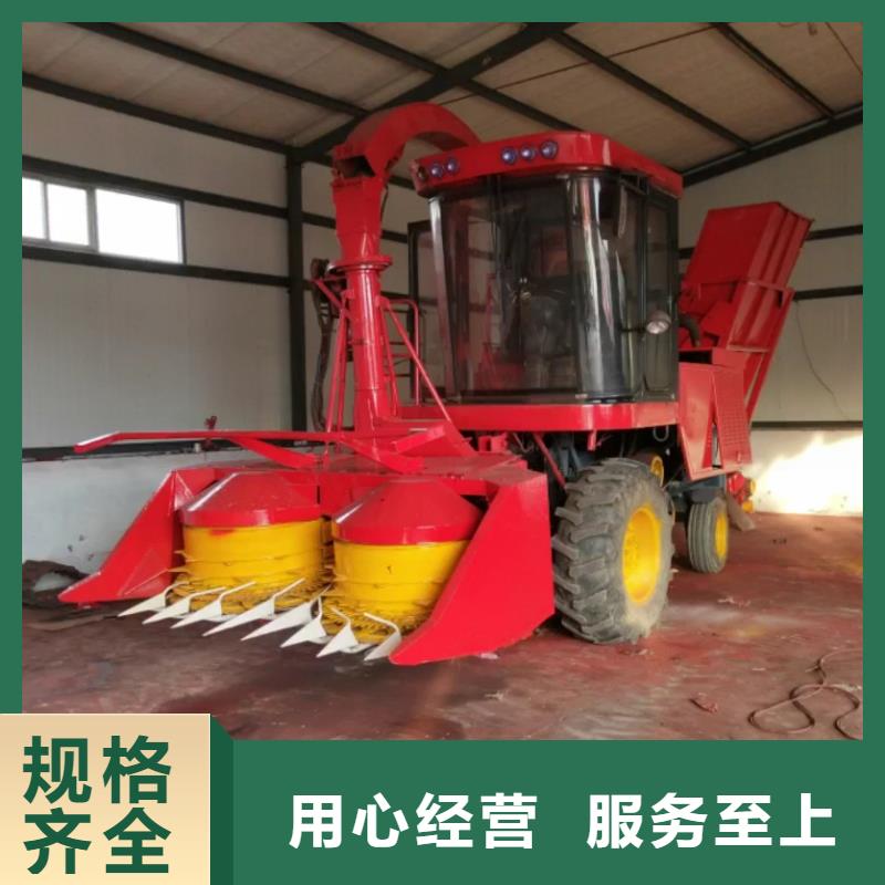 【青储机,卡斯罗犬型号全价格低】
