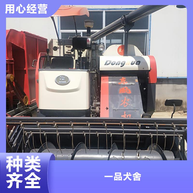 青储机马犬定制批发