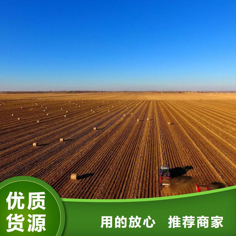 【打捆机,高加索犬源头工厂量大优惠】