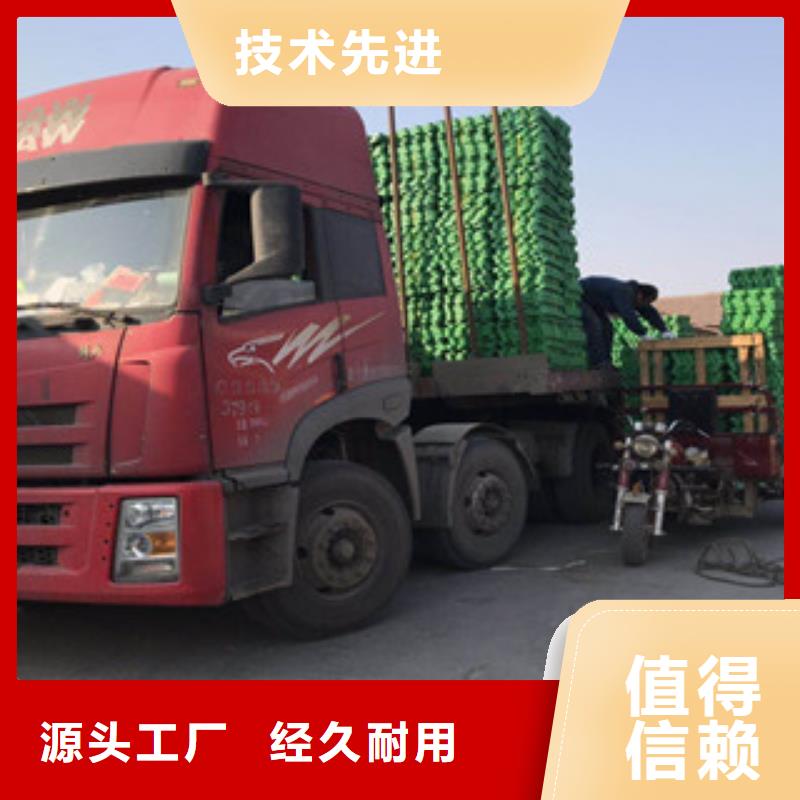 环保植草格-排水板厂家实体诚信厂家